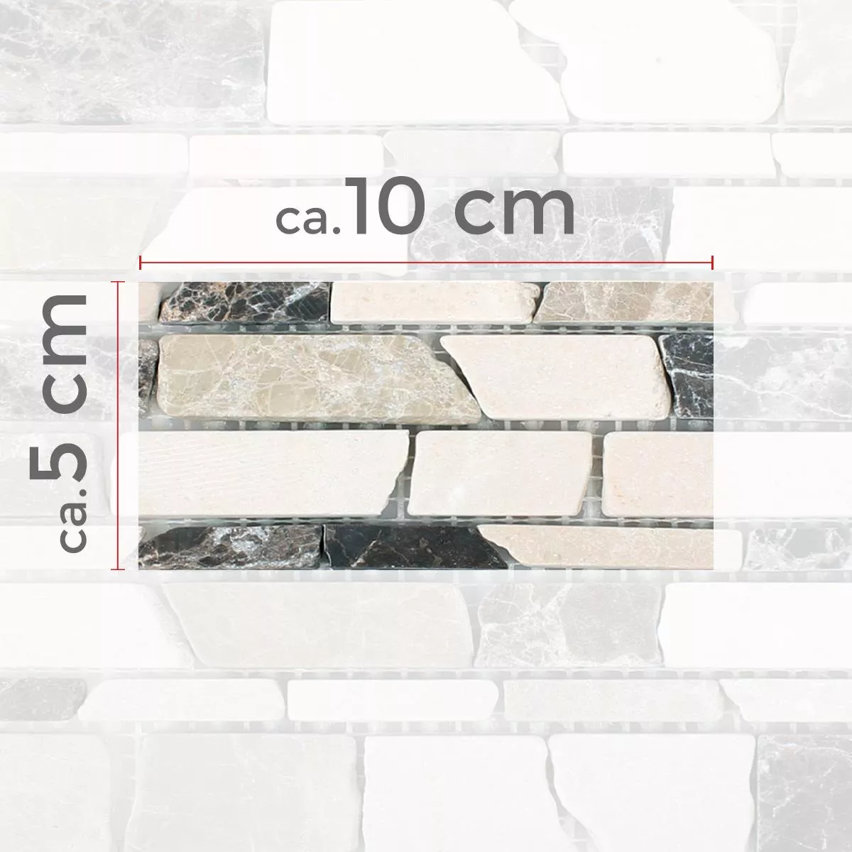 Prøve Mosaikfliser Marmor Havel Brick Castanao Biancone