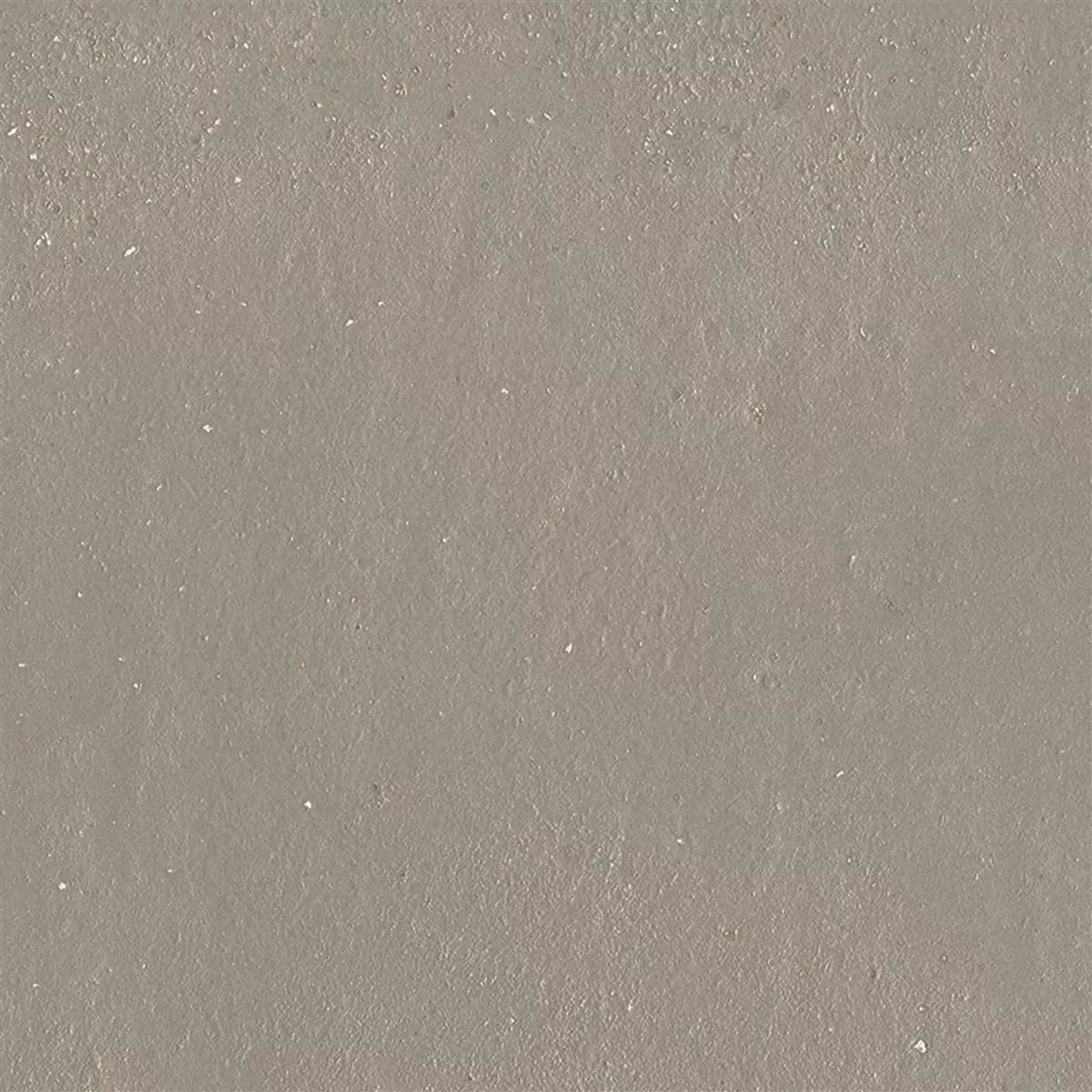 Échantillon Carrelage Sol Et Mur Malibu Optique En Béton Taupe 60x60cm