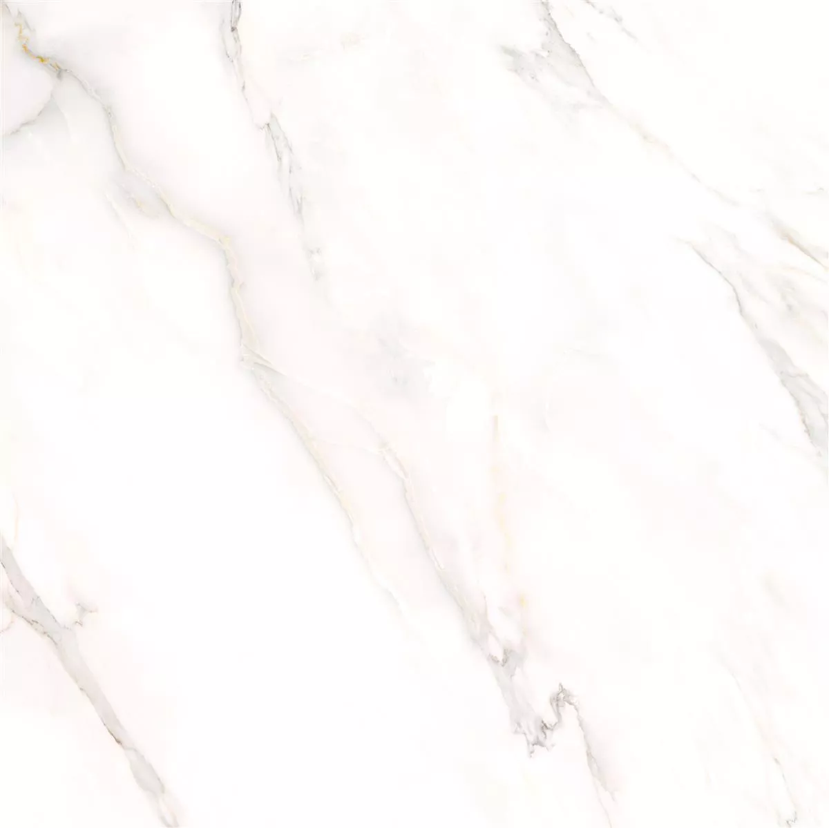 Gresie Rice Aspect De Marmură Calacatta Lustruit 78x78cm
