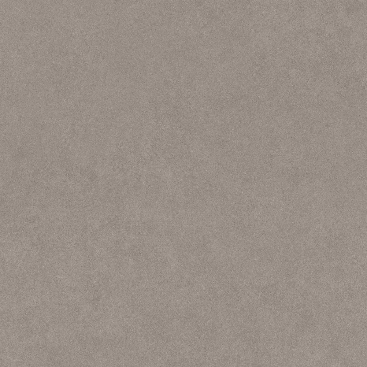 Kolossal Medium Grijs 60x60 cm
