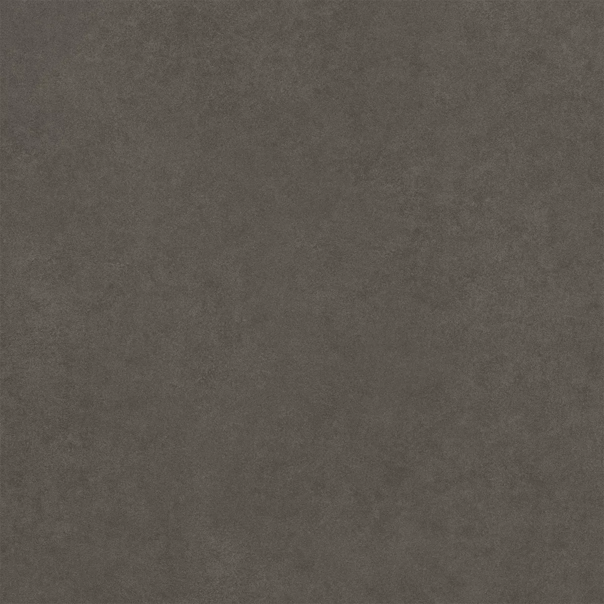 Kolossal Antraciet 60x60 cm