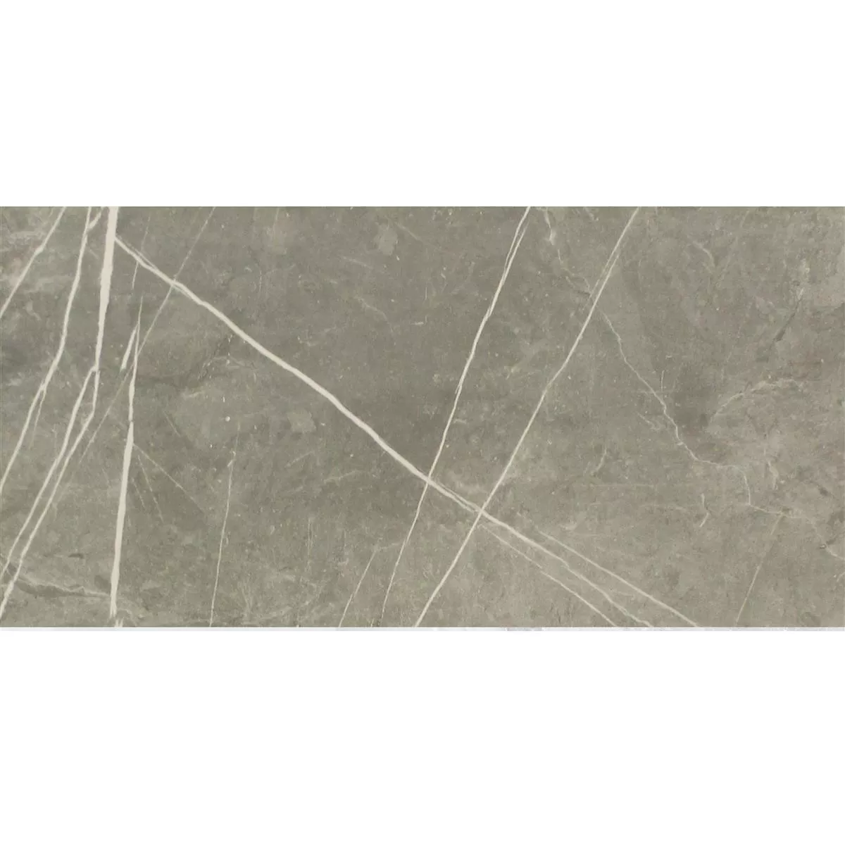 Sample Vloertegels Astara Natuursteen Optiek Glanzend Grey 30x60cm