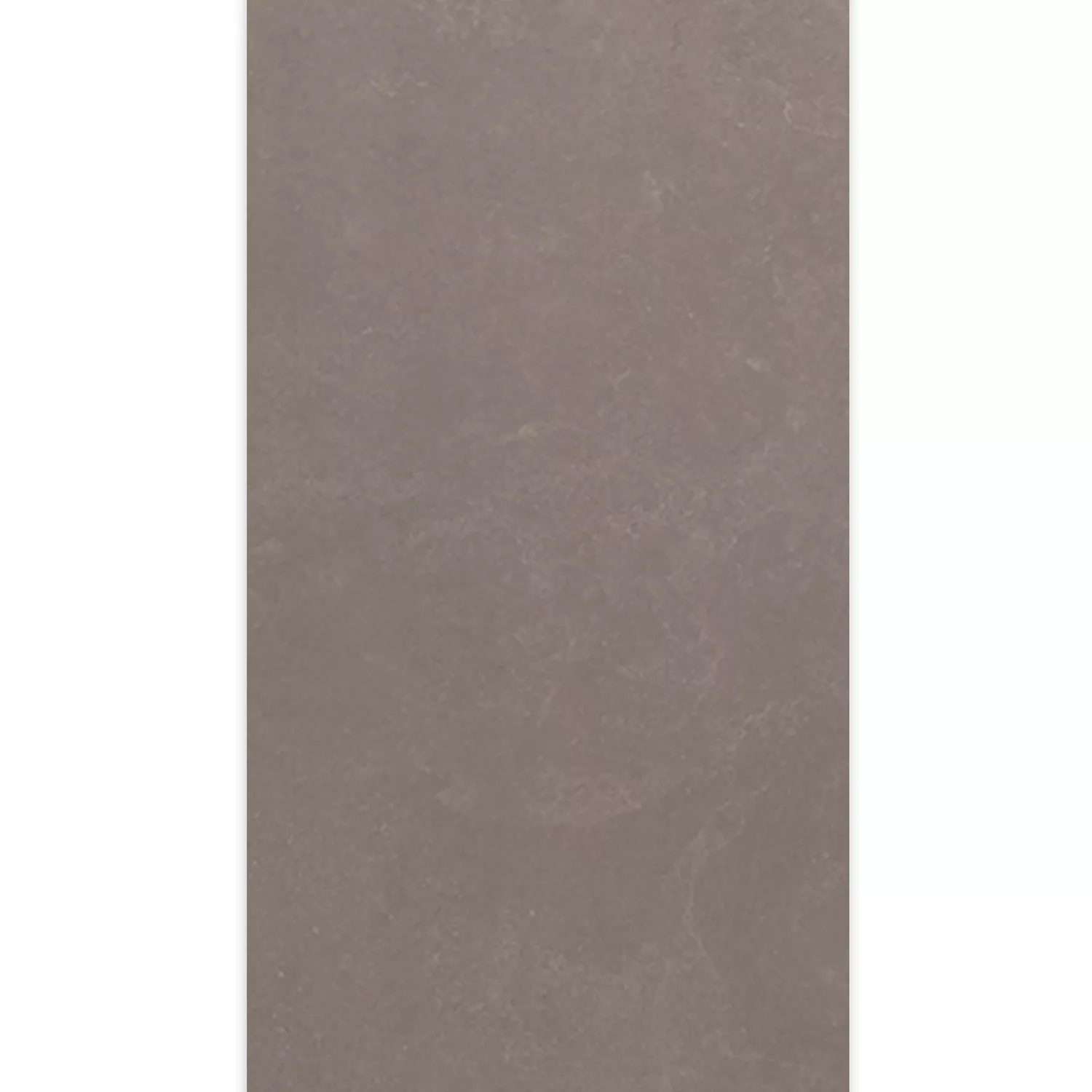 Sample Floor Tiles Hayat Noce 60x120cm
