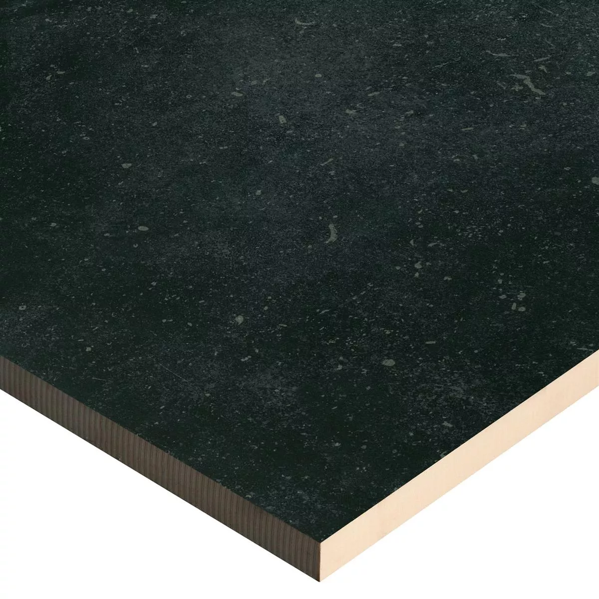 Piastrella Esterni Wilhelm Calcare Ottica Nero 60x60cm