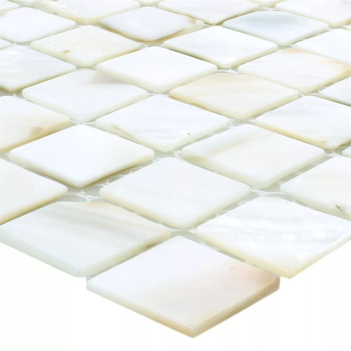 Mosaic Tiles Shell Kordon White