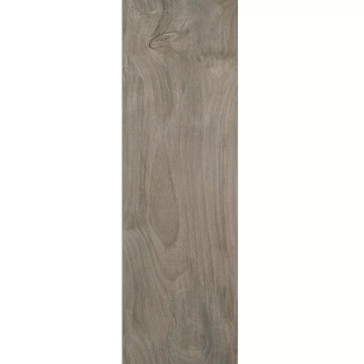 Wygląd Drewna Płytki Podłogowe Carmenta Szary 20x120cm