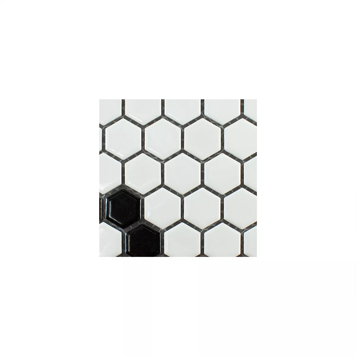 Πρότυπο από Kεραμικά Ψηφιδωτό Πλακάκι Carlsbad Λουλούδι Μαύρος Ασπρο