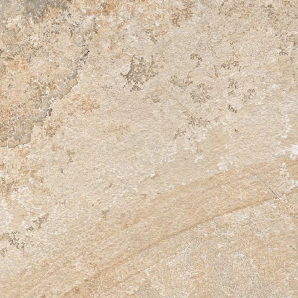 Terrastegels Porselein steengoed McClave Beige 60x60x2 cm