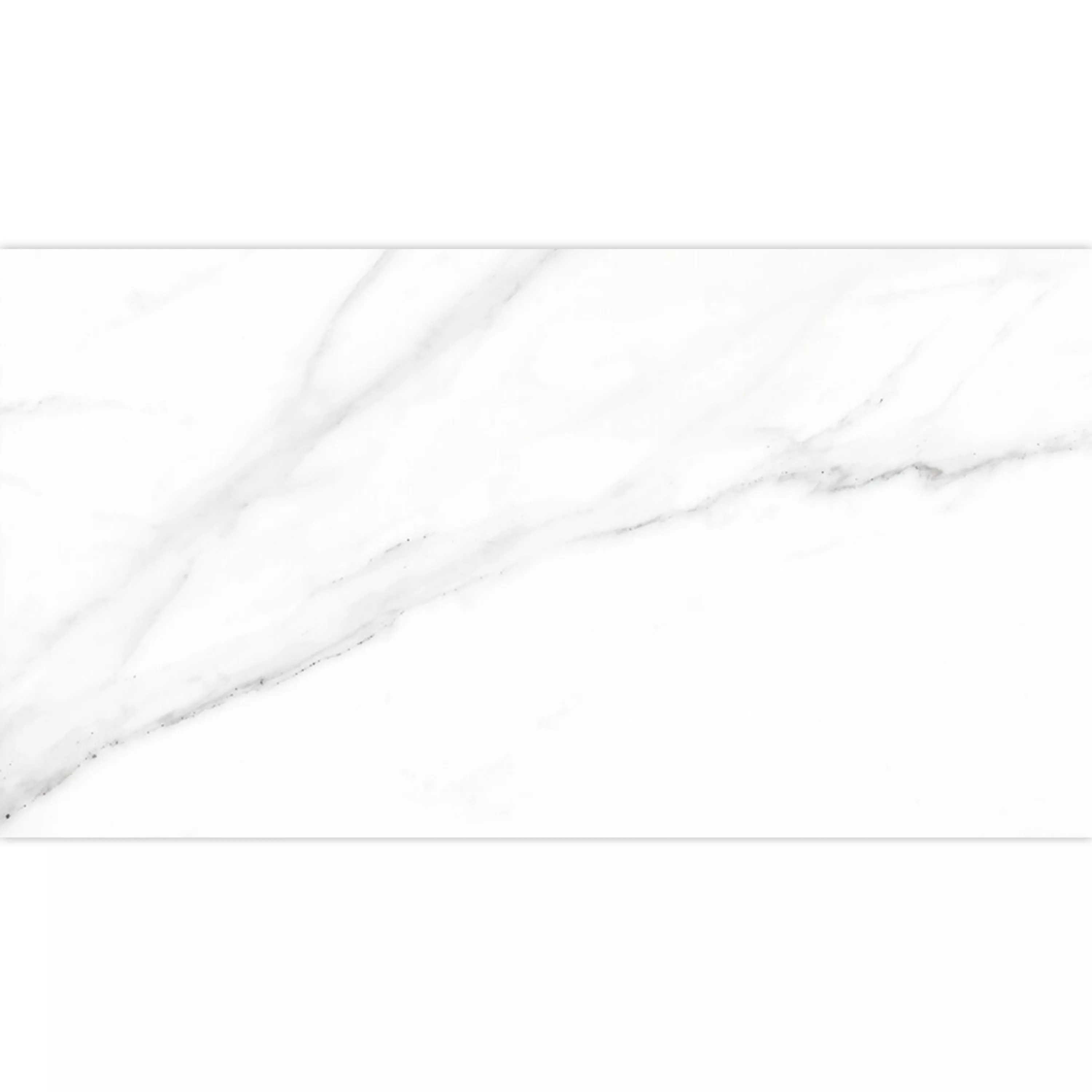 Muster von Bodenfliesen Arcadia Marmoroptik Matt Weiß 30x60cm