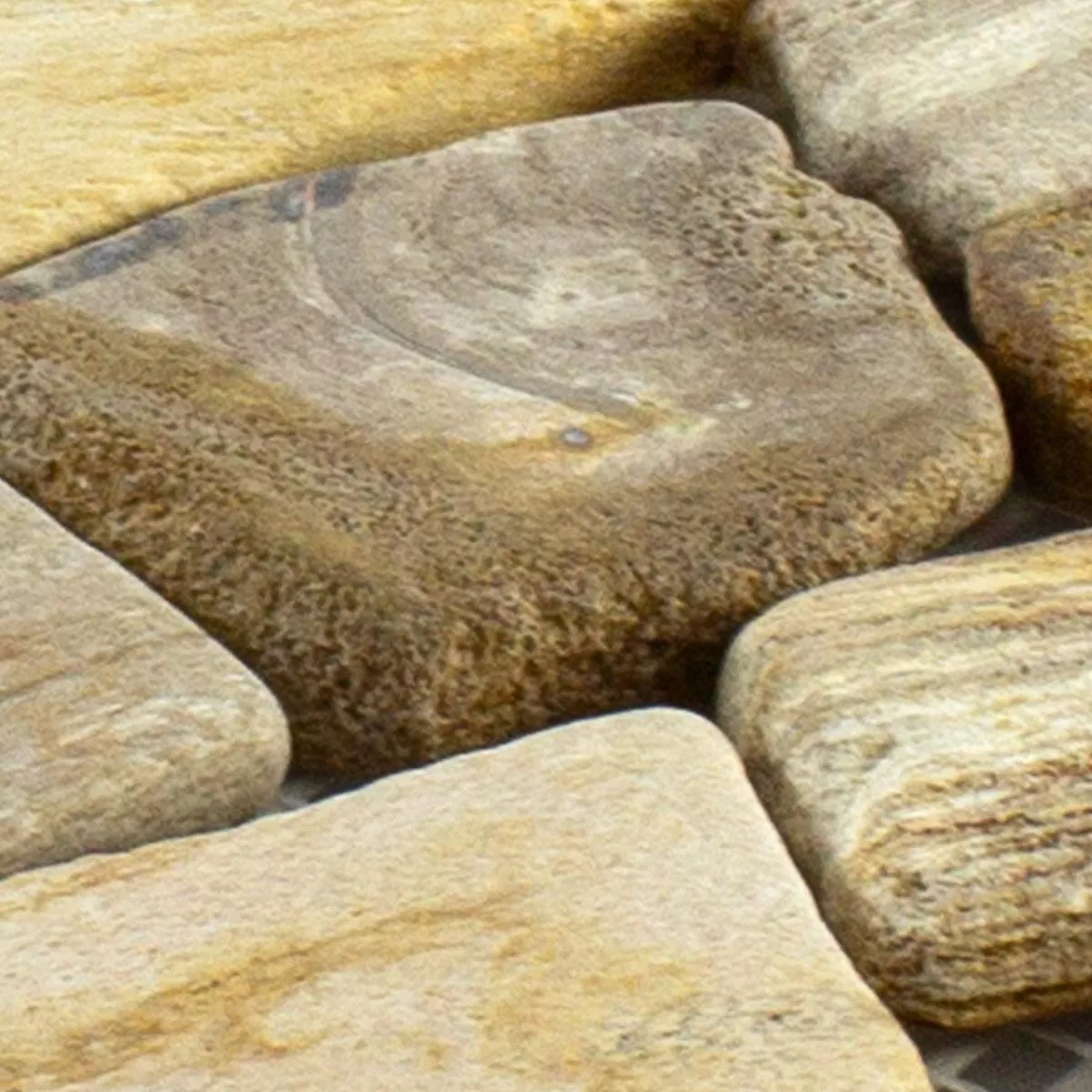 Model din Fractură De Marmură Plăci De Mozaic Erdenet Maro Bej