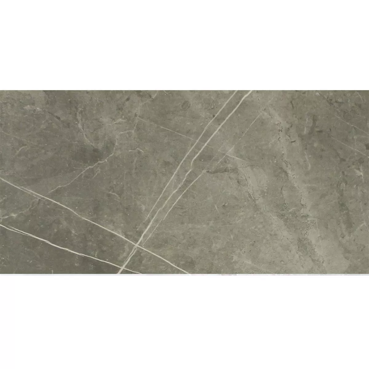 Sample Floor Tiles Astara Natural Stone Optic Polished Mist 30x60cm