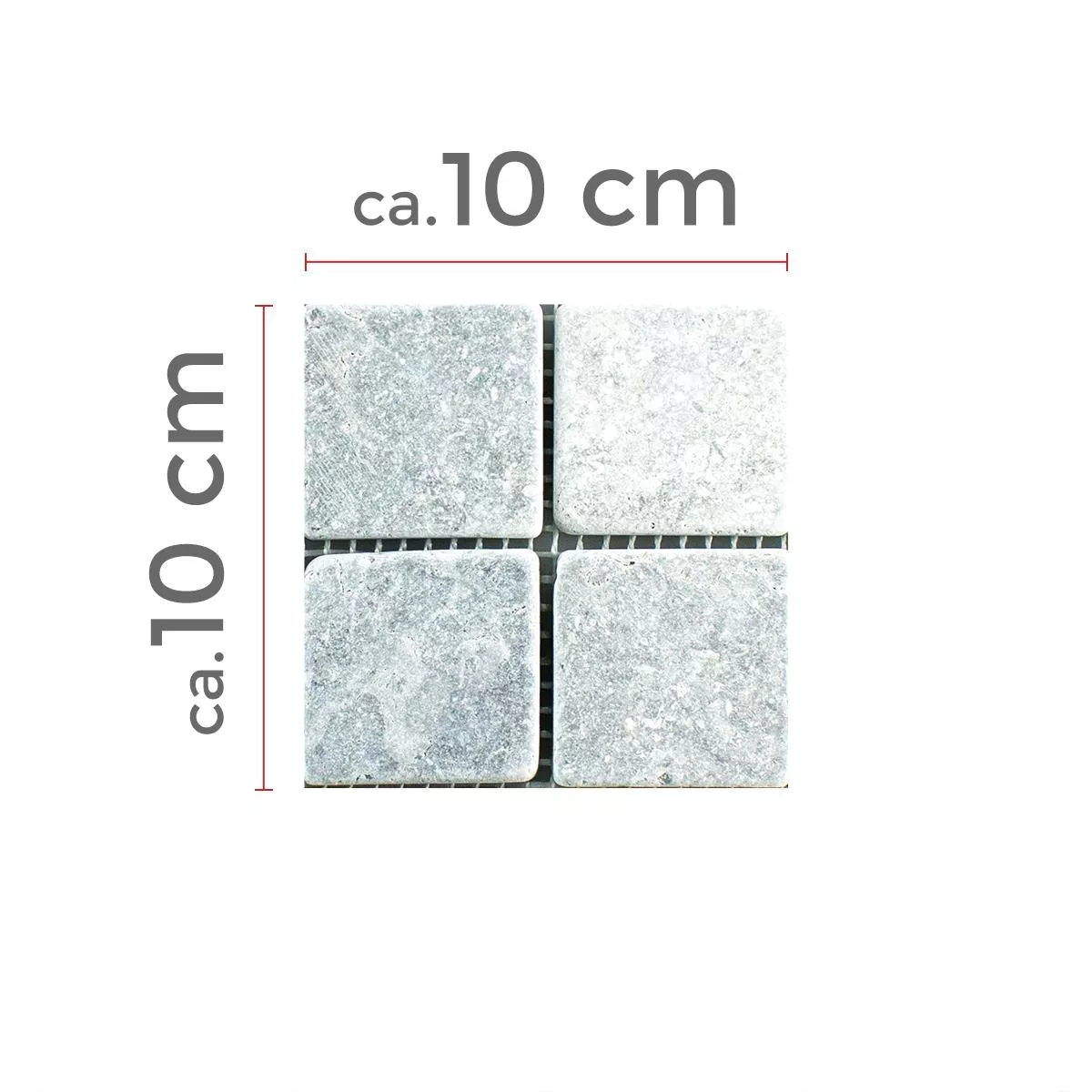 Campione Pietra Naturale Mosaico marmo Zaria Grigio Chiaro