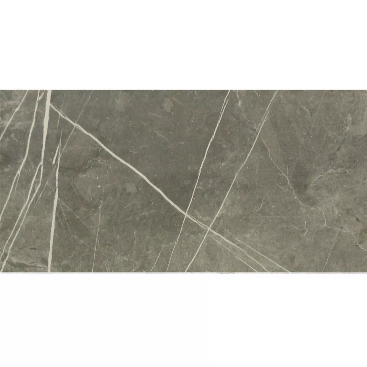 Muster Bodenfliesen Astara Natursteinoptik Poliert Mist 30x60cm