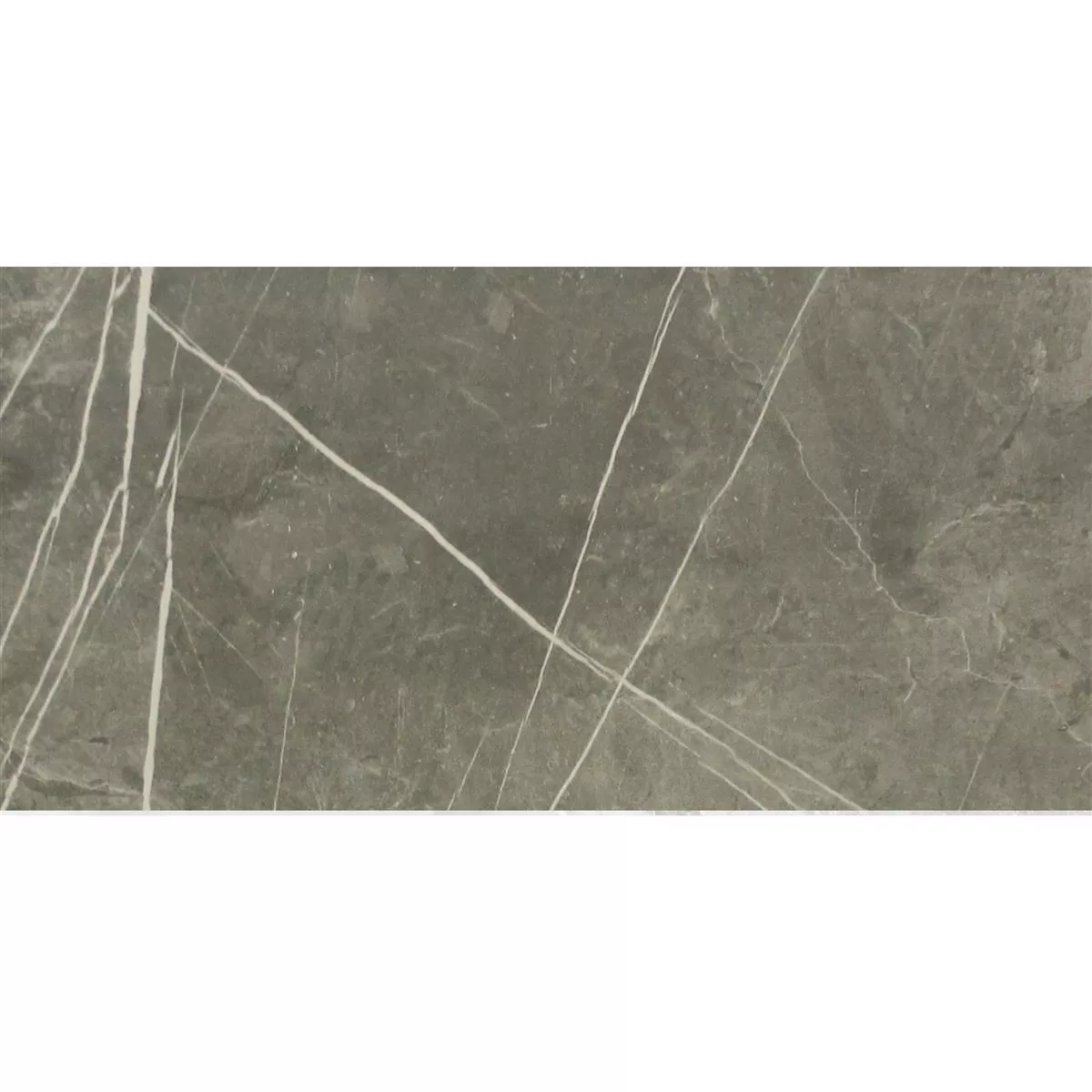 Astara Muestra Pavimentos Astara Aspecto De Piedra Natural Pulido Mist