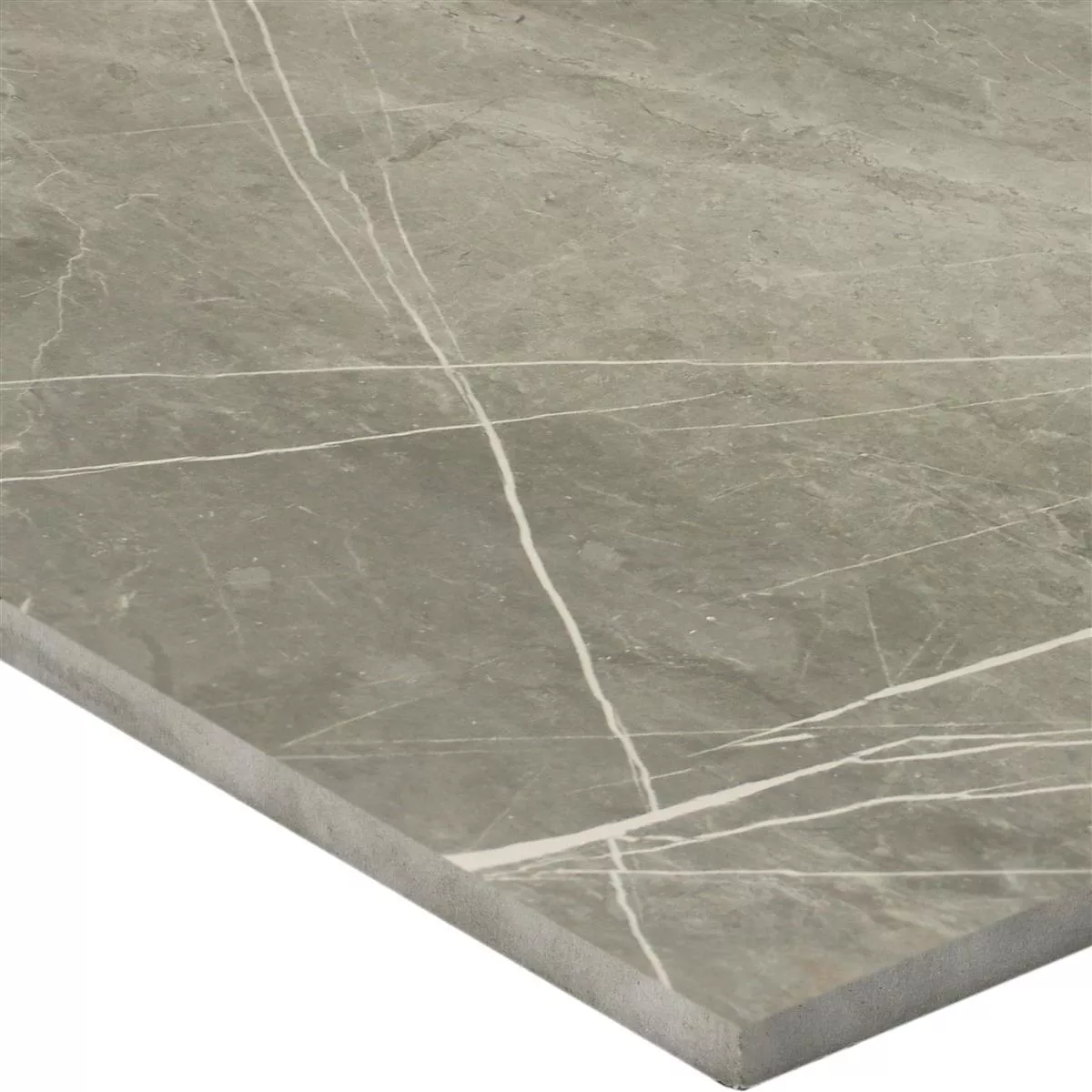 Vzorek Podlahové Dlaždice Astara Vzhled Přírodního Kamene Leštěná Grey 60x60cm