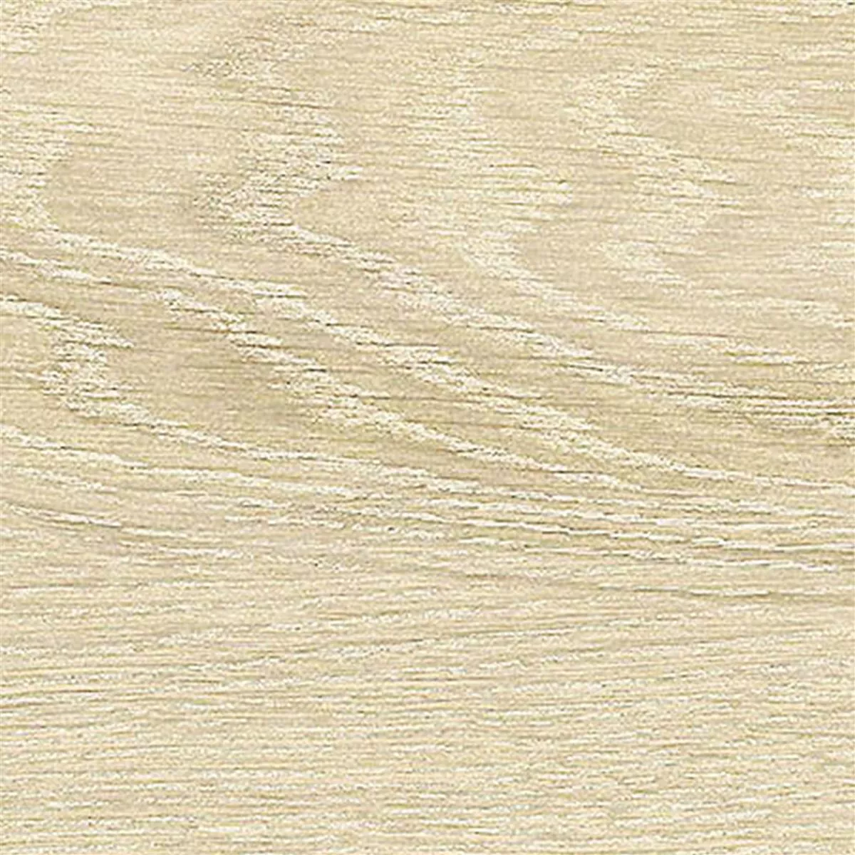 Płytki Podłogowe Regina Wygląd Drewna 20x120cm Kremowa