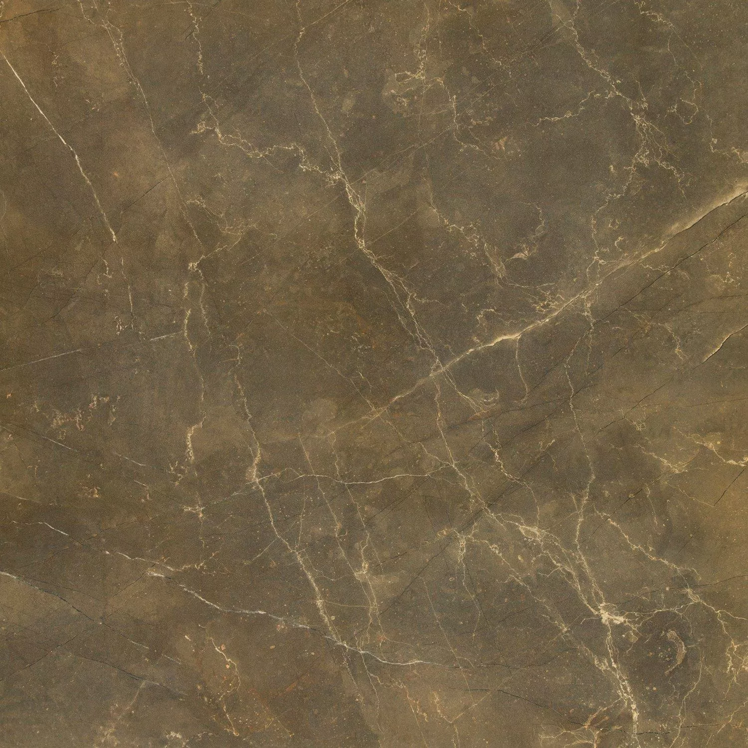 Floor Tiles Marble Optic Imperial Khaki 80x80cm Floor Tiles Marble Optic Imperial Khaki 80x80cm