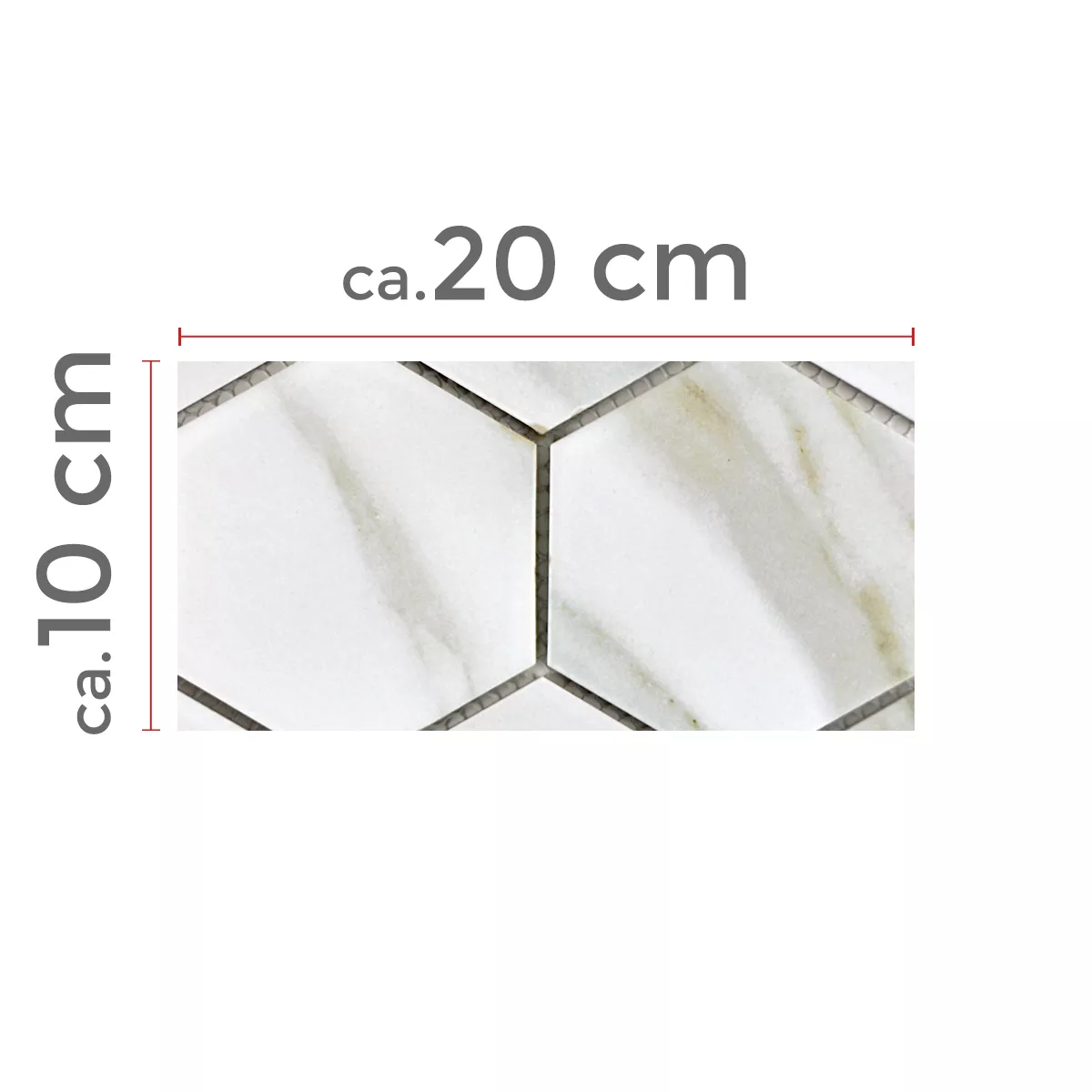 Campione Ceramica Mosaico Zorro Calacatta Hexagon 