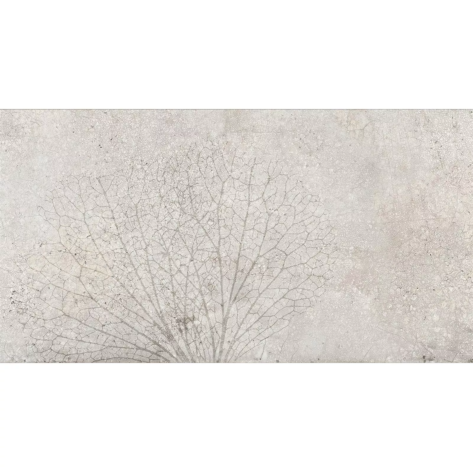 Wall Tiles Attila Grey Rectified Decor 1 30x60cm Wall Tiles Attila Grey Rectified Decor 1 30x60cm