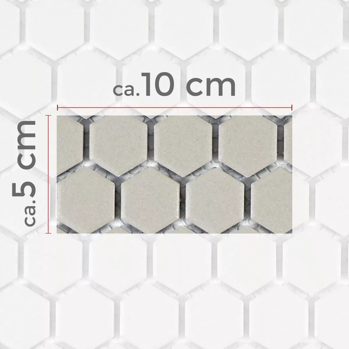 Sample Ceramic Mosaic Tiles Hexagon Zeinal Unglazed Light Grey R10B