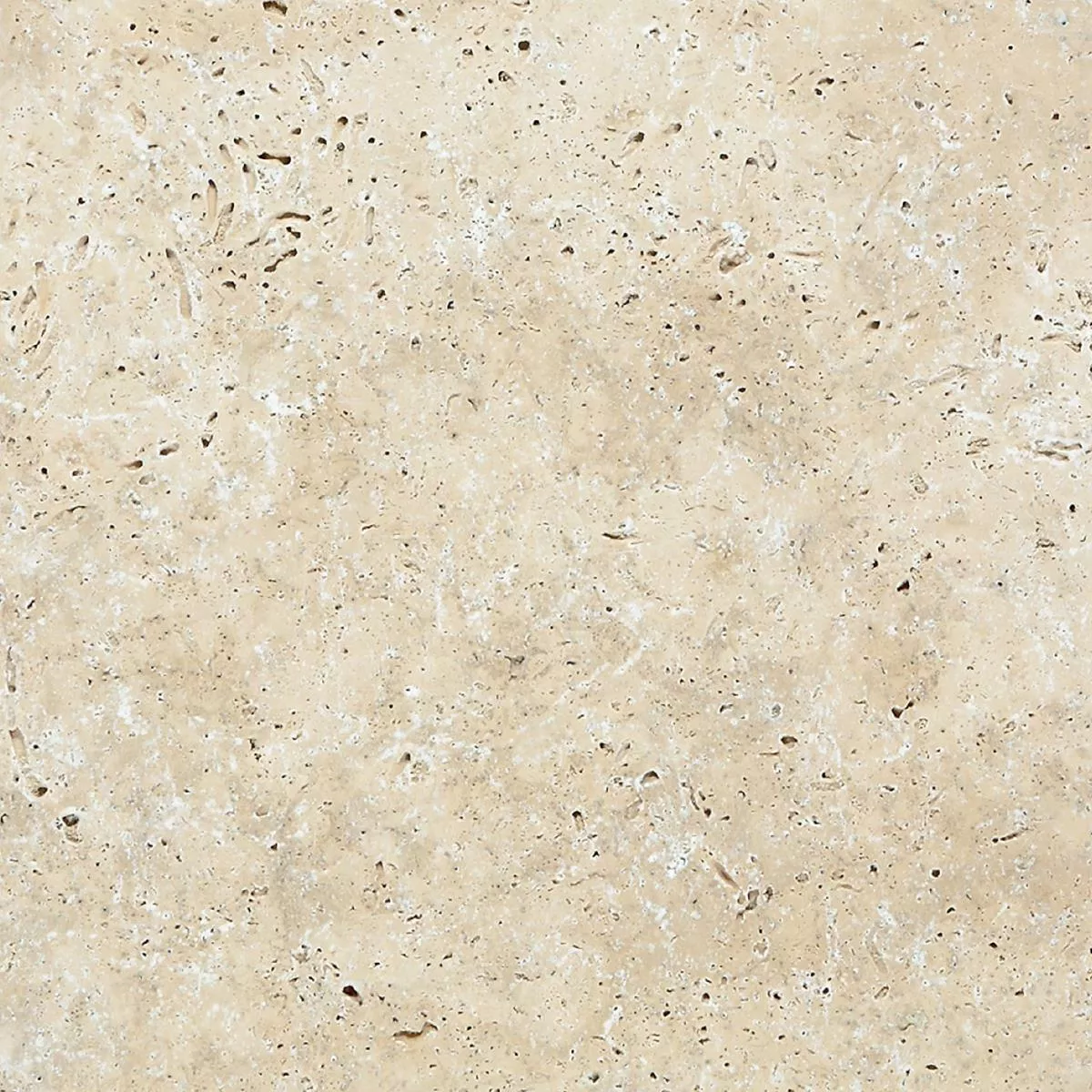 Sample Natural Stone Tiles Travertine Barga Beige 40,6x61cm