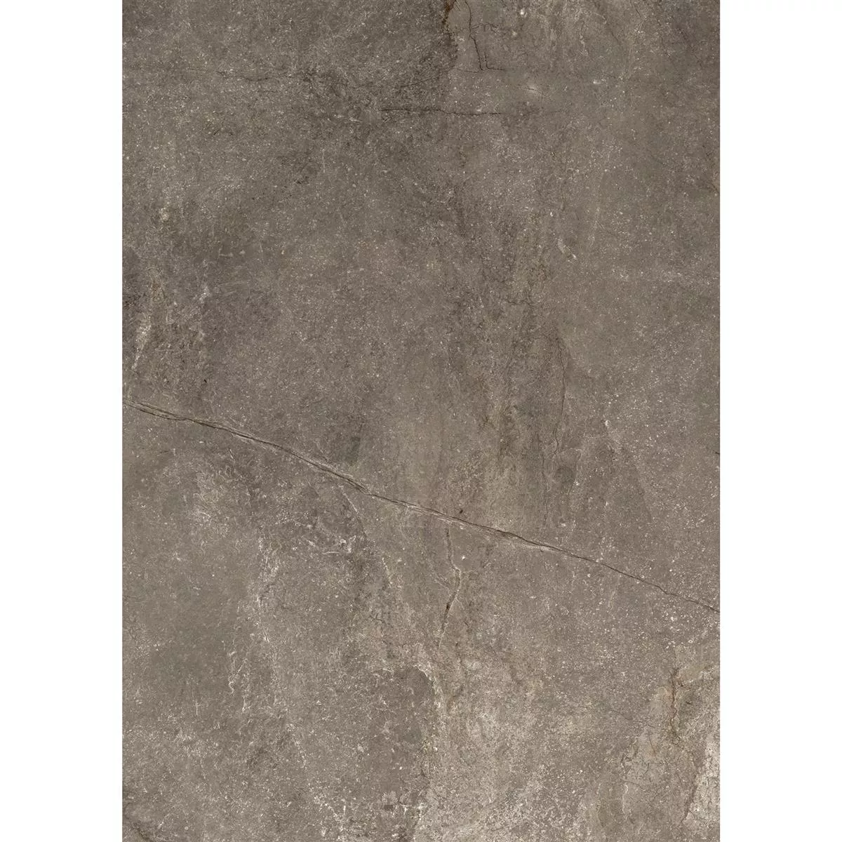 Sample Floor Tiles Pangea Marble Optic Mat Mokka 60x120cm