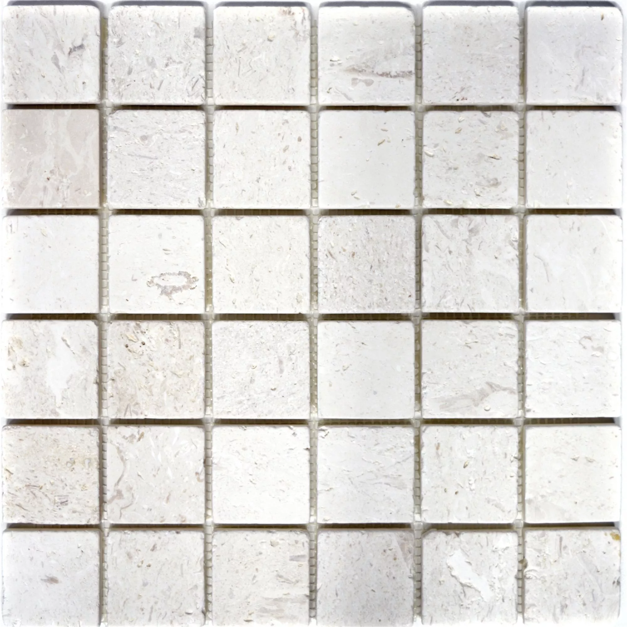 Mosaiikki Laatat Kalkkikivi Allerona Valkoinen 48