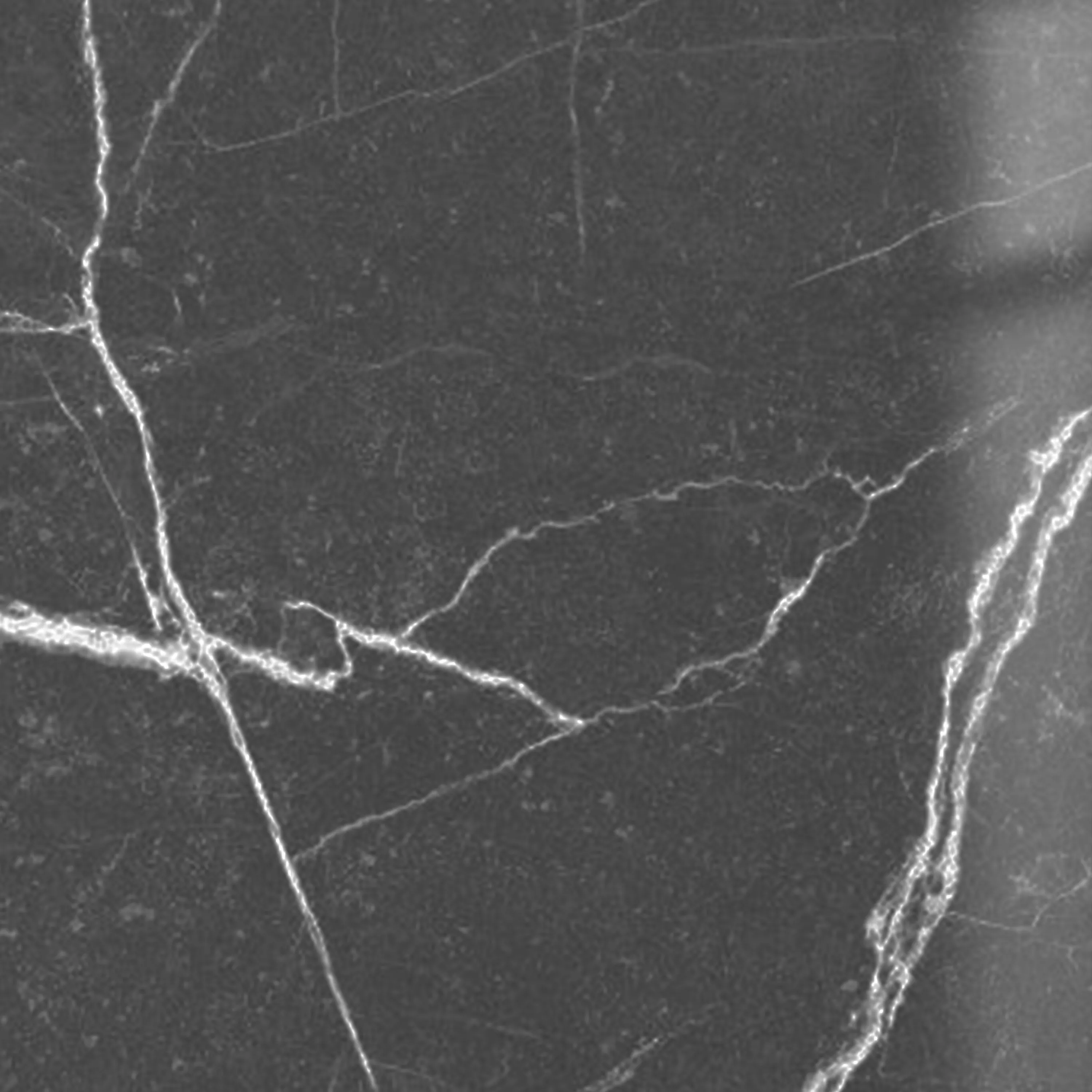 Sample Floor Tiles Santana Marble Optic Polished Dark Grey 60x60cm