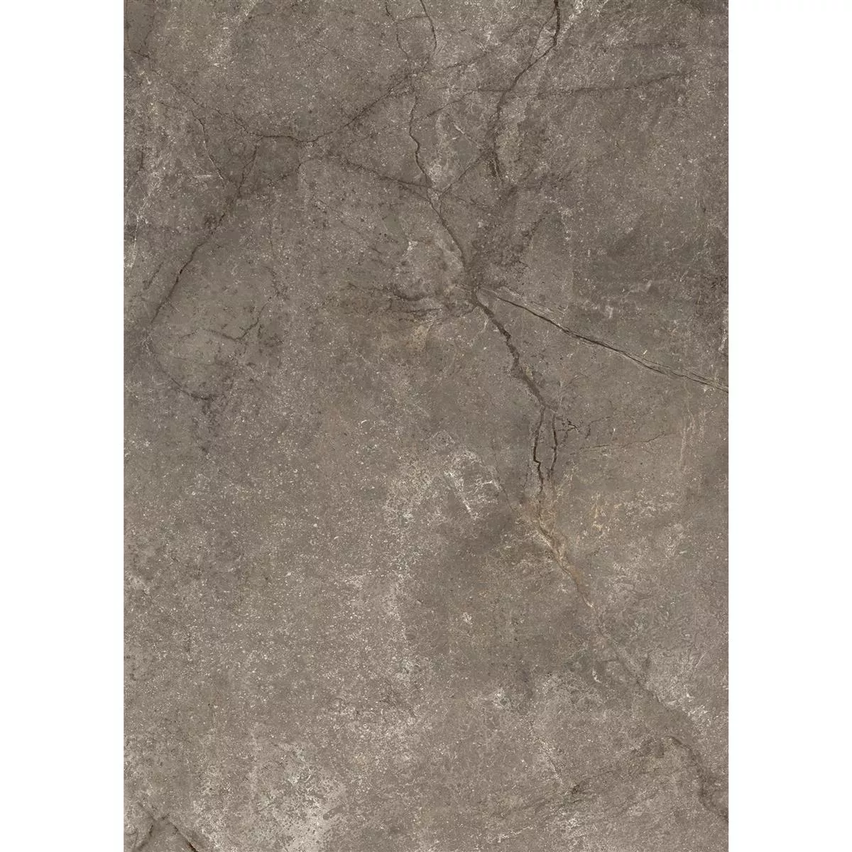 Mønster fra Gulvfliser Pangea Marmor Utseende Frostet Mokka 60x120cm