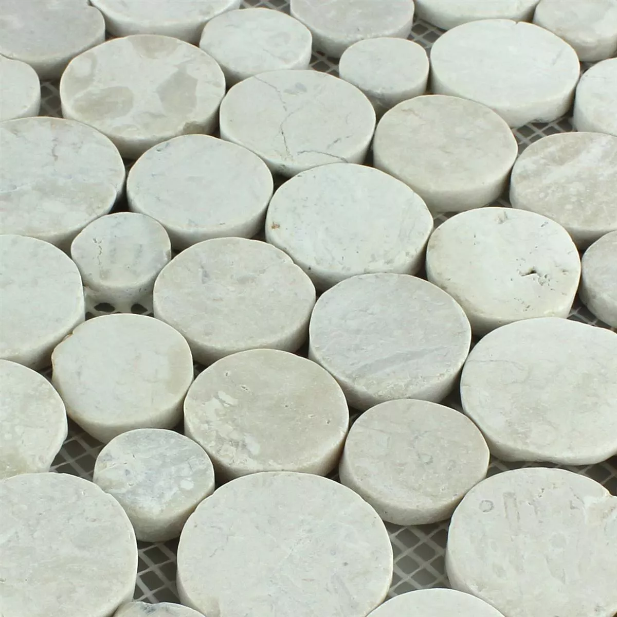 Próbka Mozaika Kamień Otoczak Coin Okrągły Biały