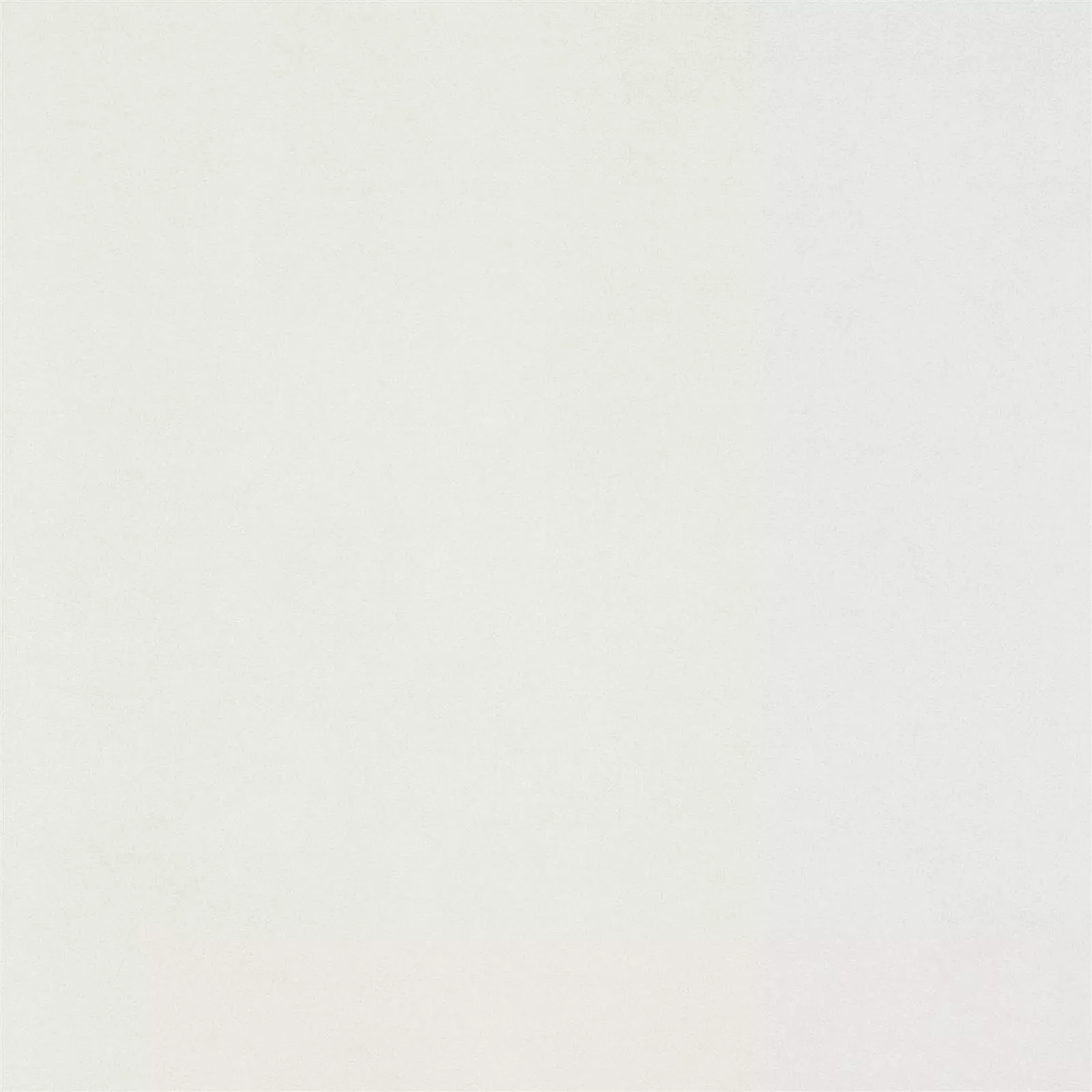 Πλακάκι Δαπέδου Mainland Συγκεκριμένη Εμφάνιση Αμεμπτος 60x60cm Ασπρο