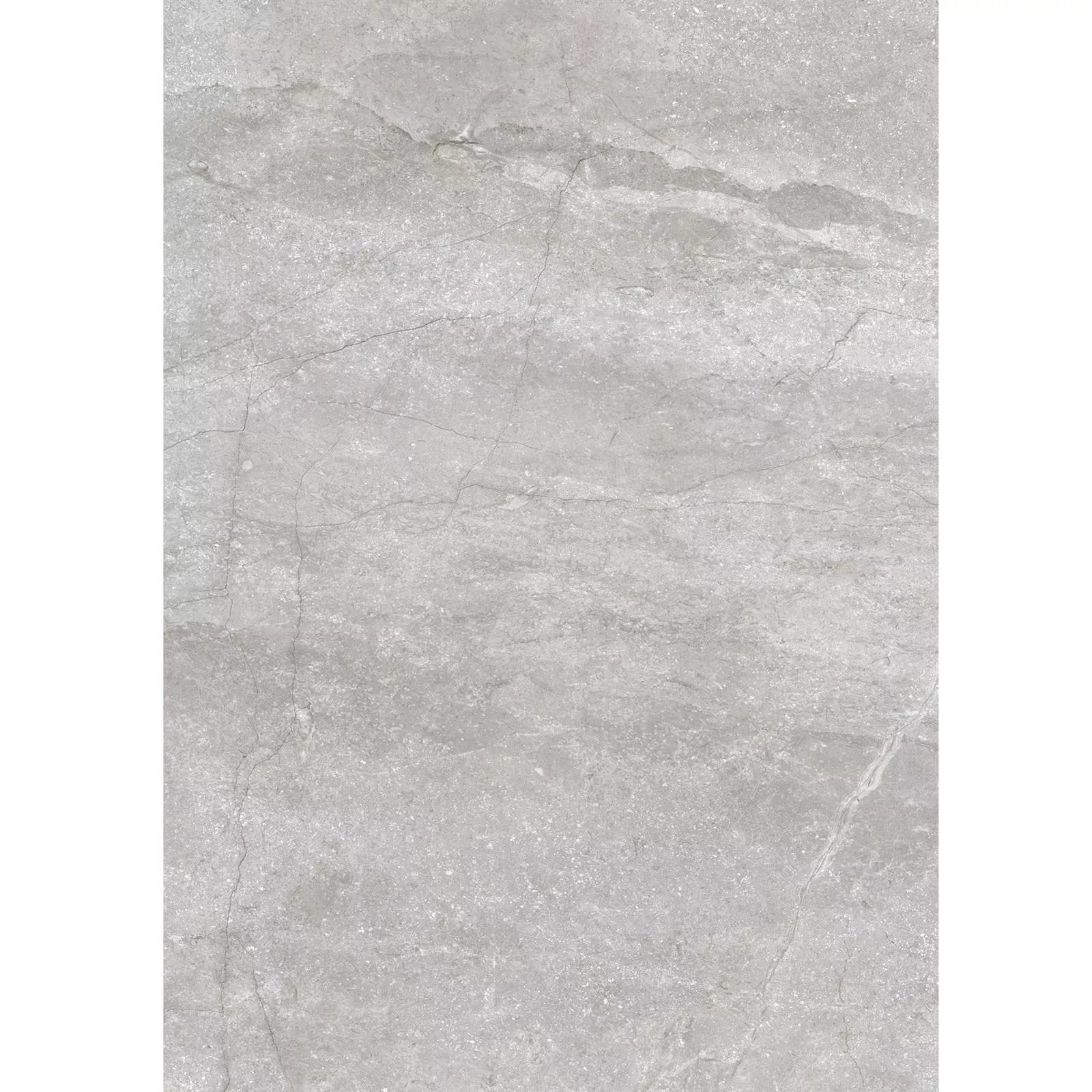 Floor Tiles Noiron Mat Polished Silver 60x120cm