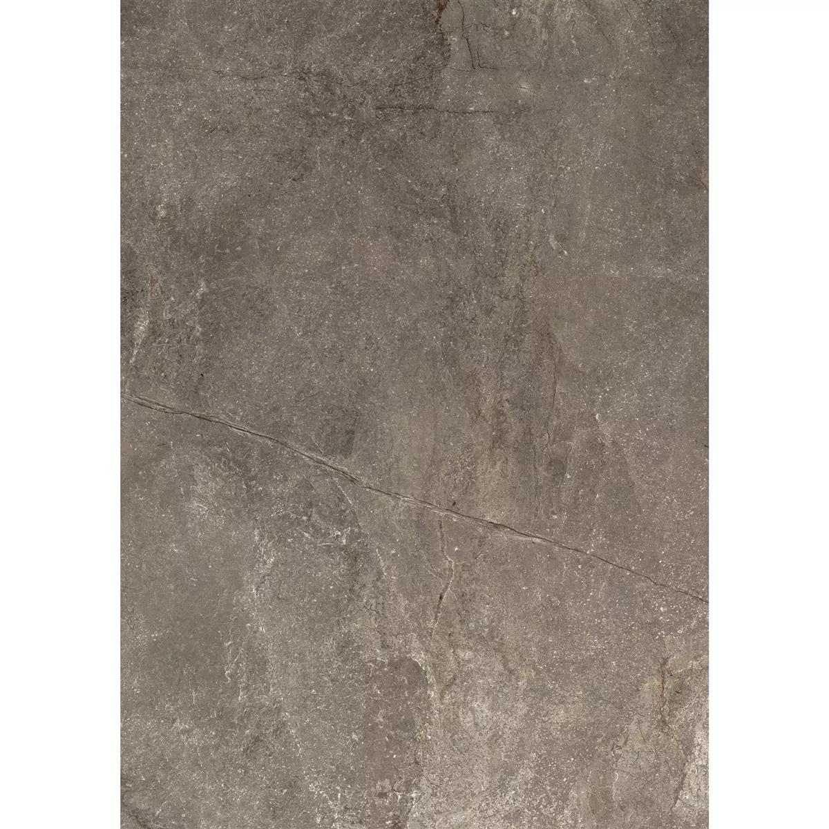 Floor Tiles Pangea Marble Optic Mat Mokka 60x120cm