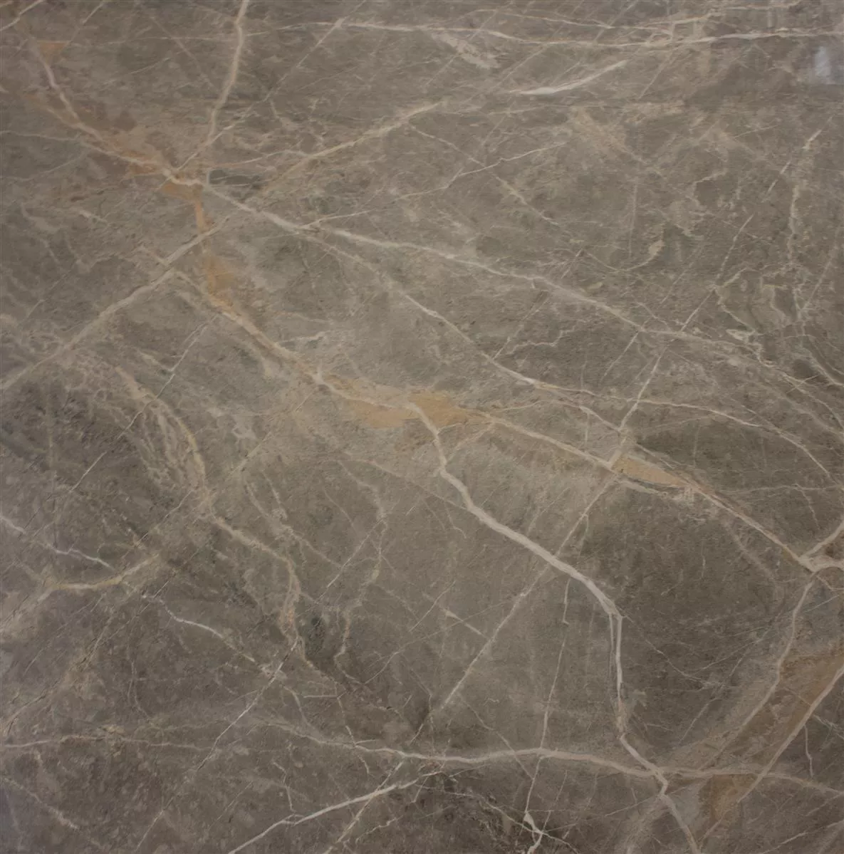 Bodenfliese Zeven Grau Beige Gold Schieferoptik 60x60cm Bodenfliese Zeven Grau Beige Gold Schieferoptik 60x60cm