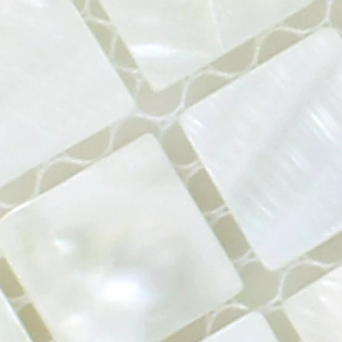 Sample Mosaic Tiles Shell Kordon White