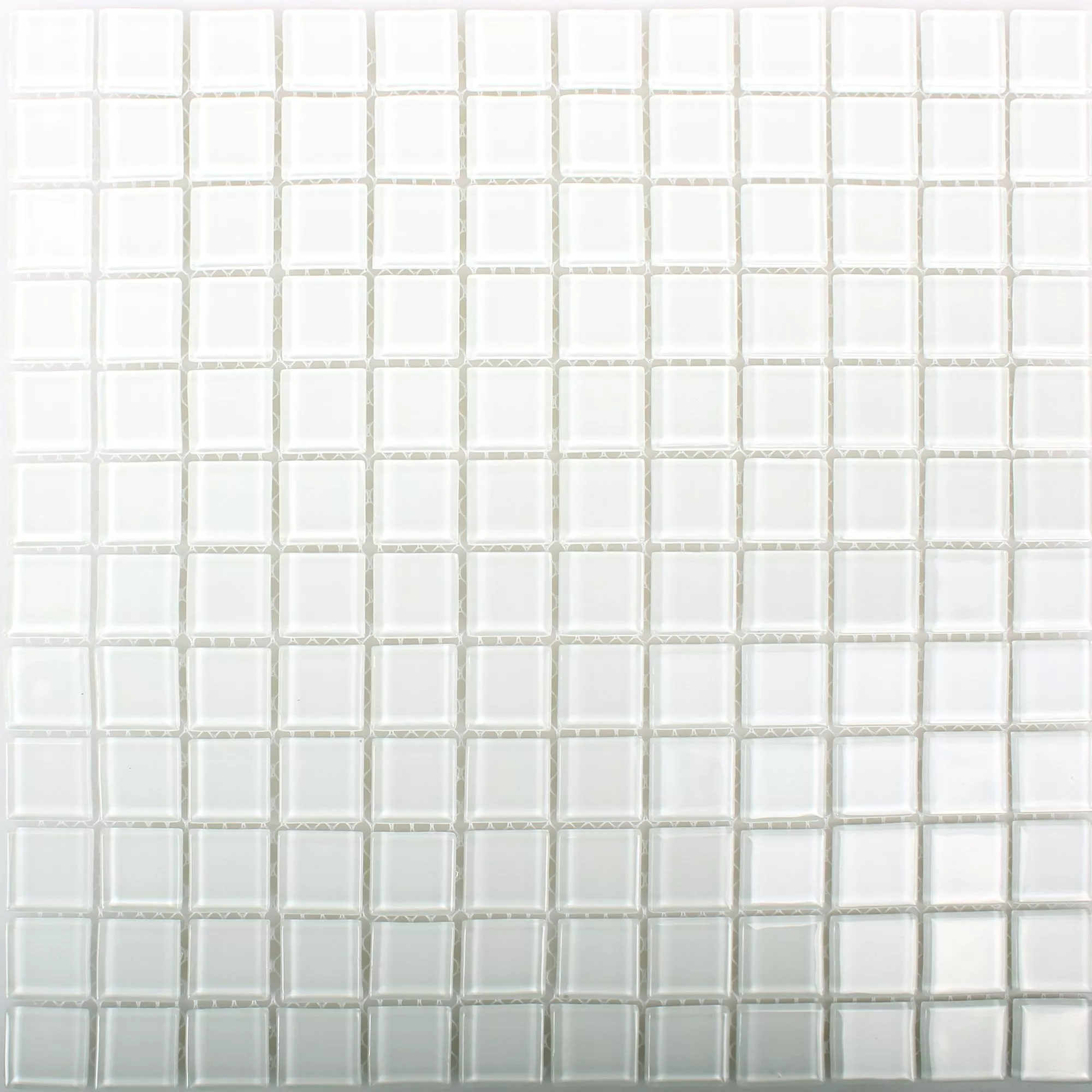 Glass Mosaic Tiles Florida White