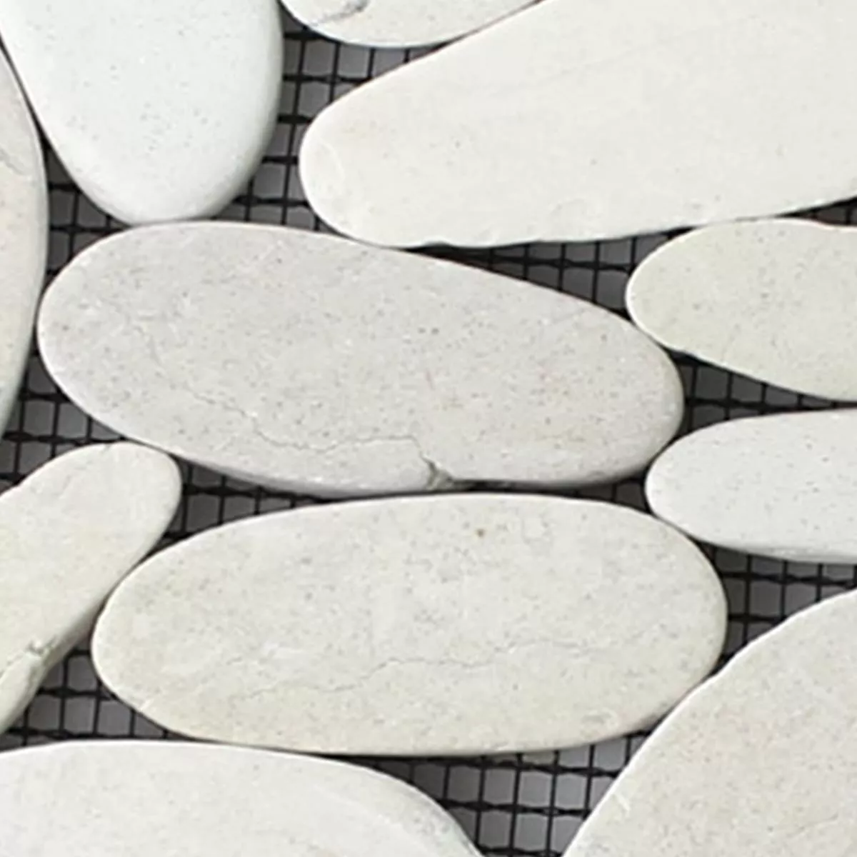 Próbka Mozaika Kamień Otoczak Burgas W Plasterkach Biały