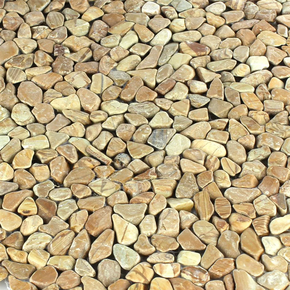 Sample River Pebbles Micro Mosaic Tiles Brown