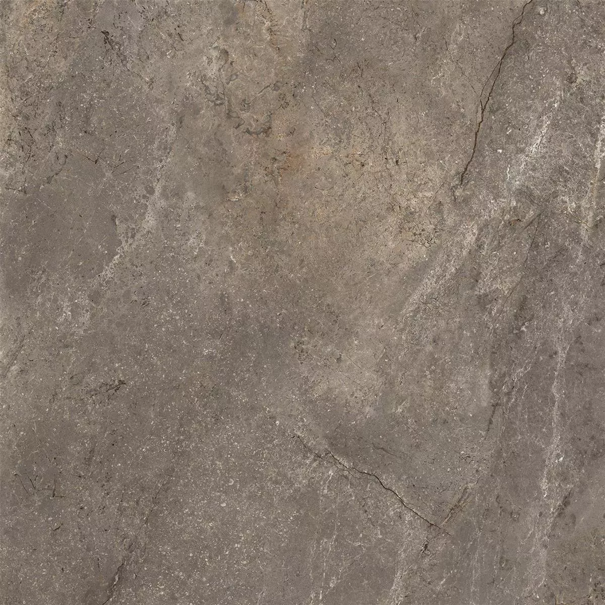 Échantillon Carrelage Sol Et Mur Noiron Mat Poli Brillant Mocca 60x60cm