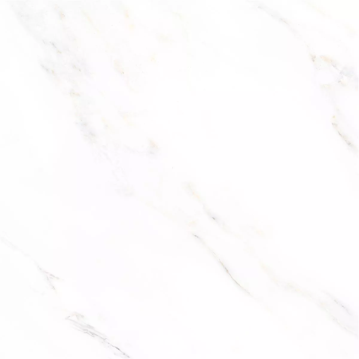 Gresie Rice Aspect De Marmură Calacatta Lustruit 58x58cm