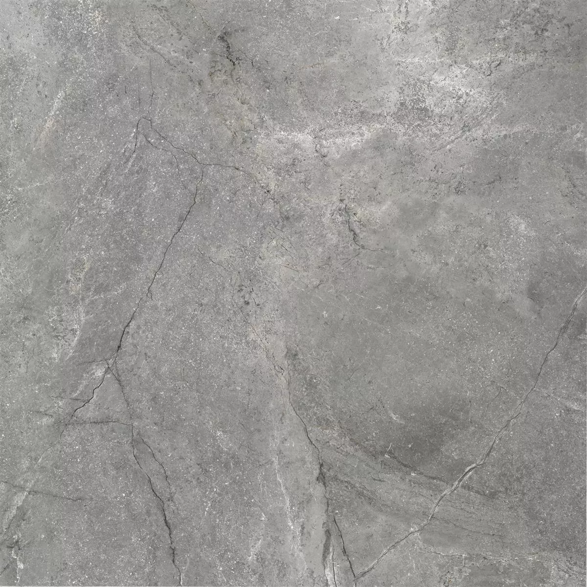 Sample Floor Tiles Pangea Marble Optic Polished Grey 60x60cm