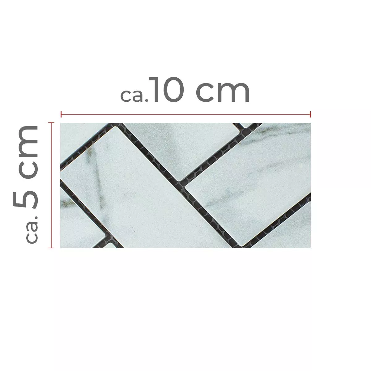 Próbka Ceramika Mozaika Fernley Kości Ryb Carrara Kamień Optyka Carrara