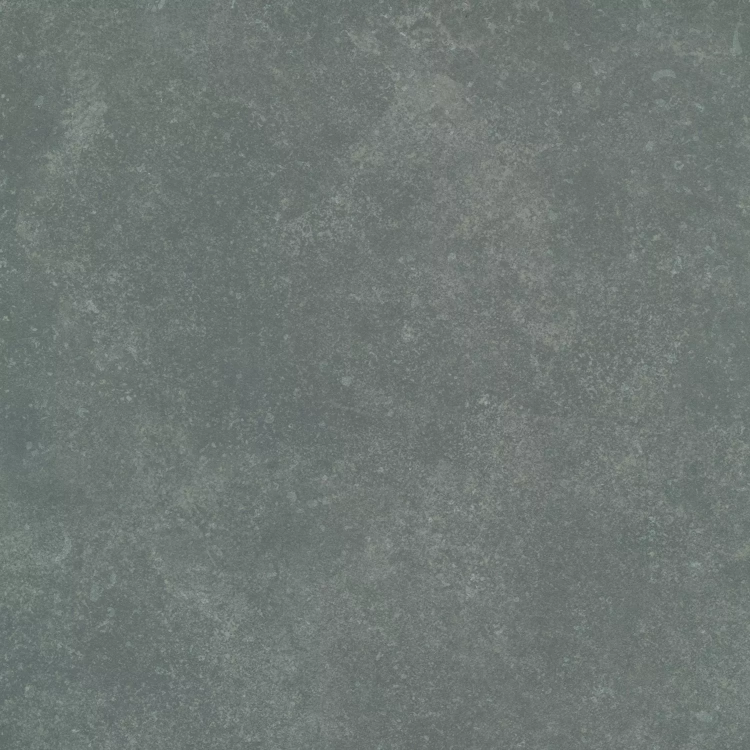 Sample Floor Tiles Wilhelm Bluestone Limestone Optic Grey
