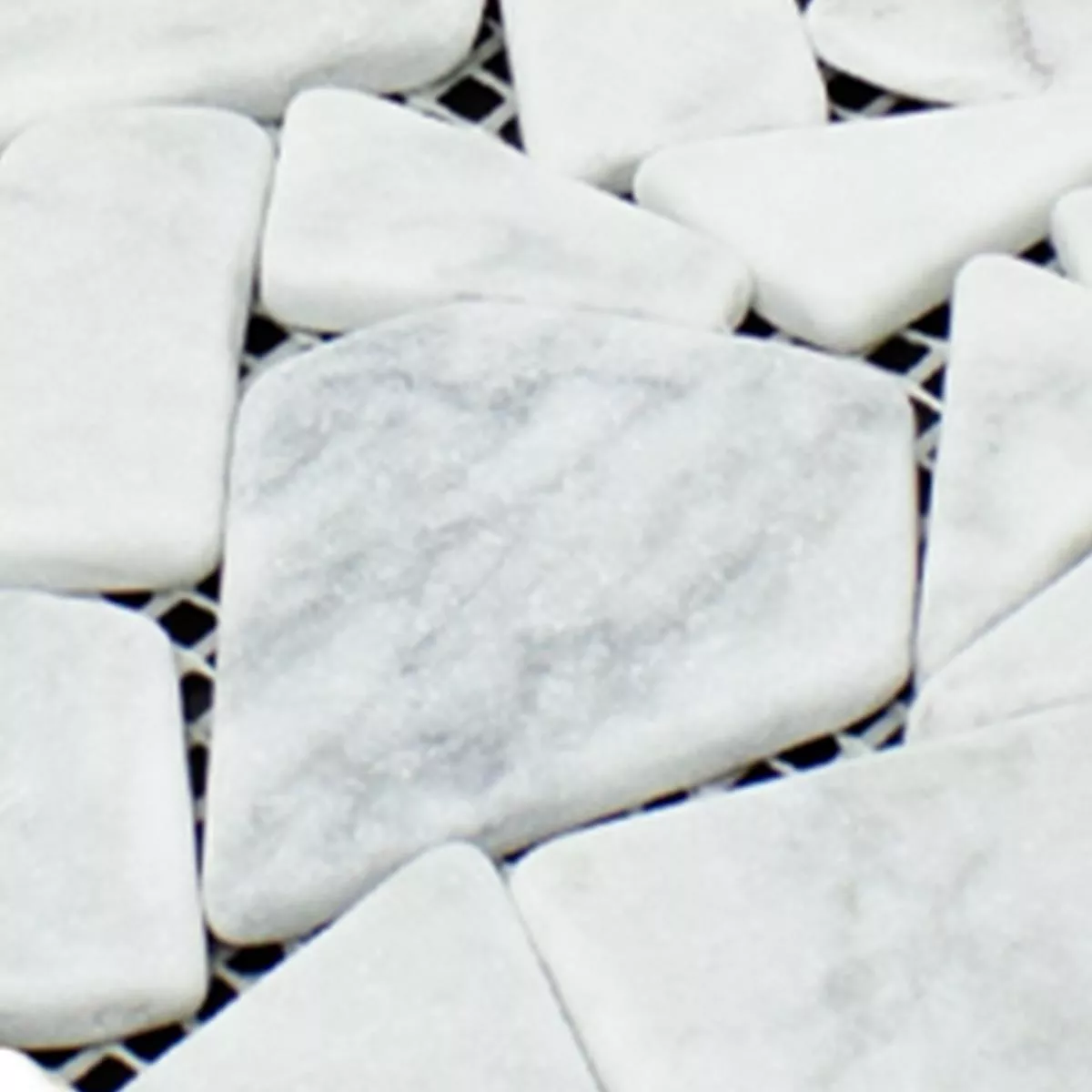 Vzorek Mramorové Úlomky Mozaiková Dlaždice Mareblu Carrara Bílá