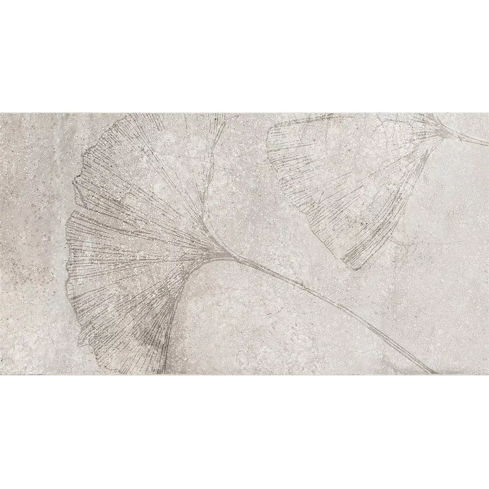 Wall Tiles Attila Grey Rectified Decor 4 30x60cm Wall Tiles Attila Grey Rectified Decor 4 30x60cm
