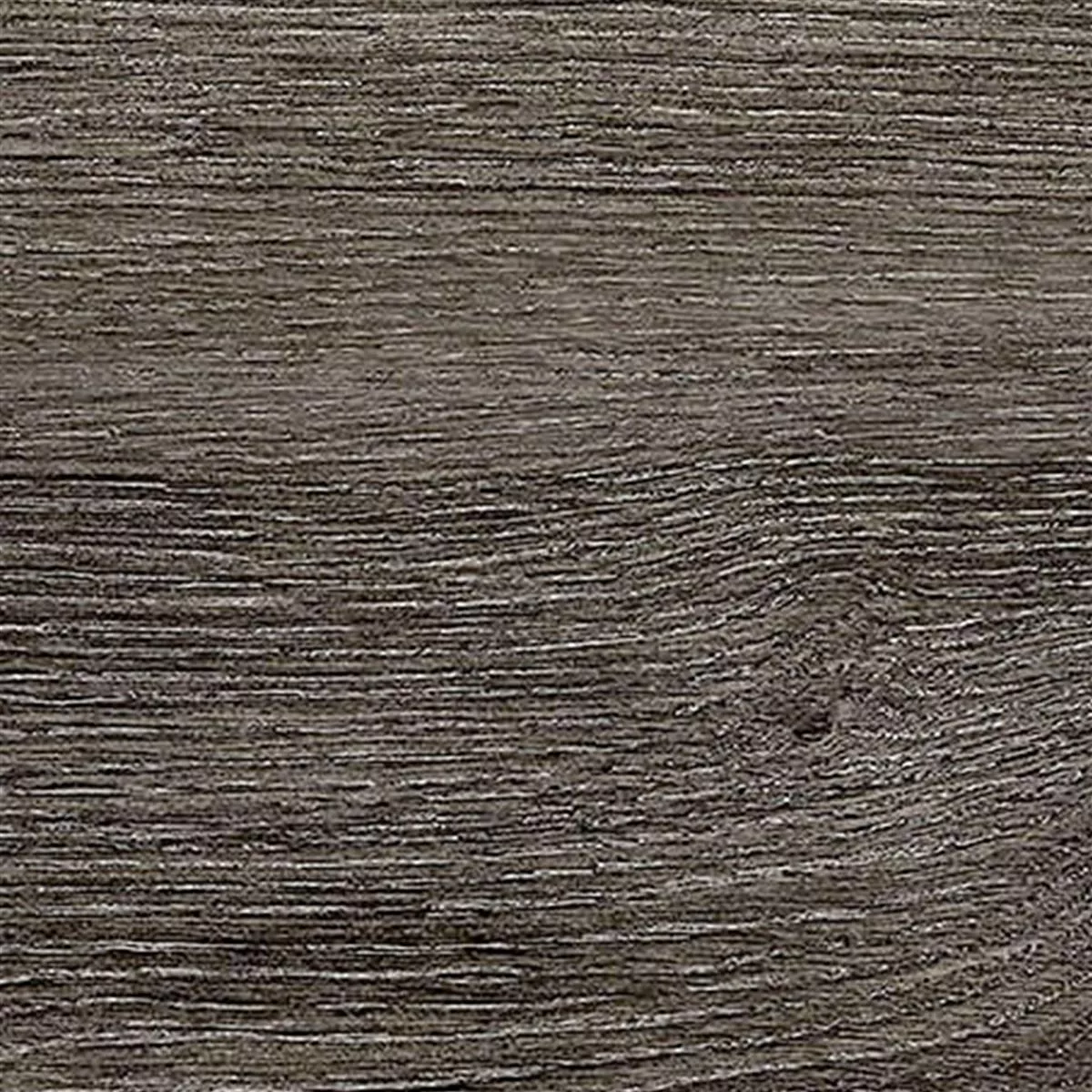 Próbka Płytki Podłogowe Regina Wygląd Drewna 20x120cm Smoke