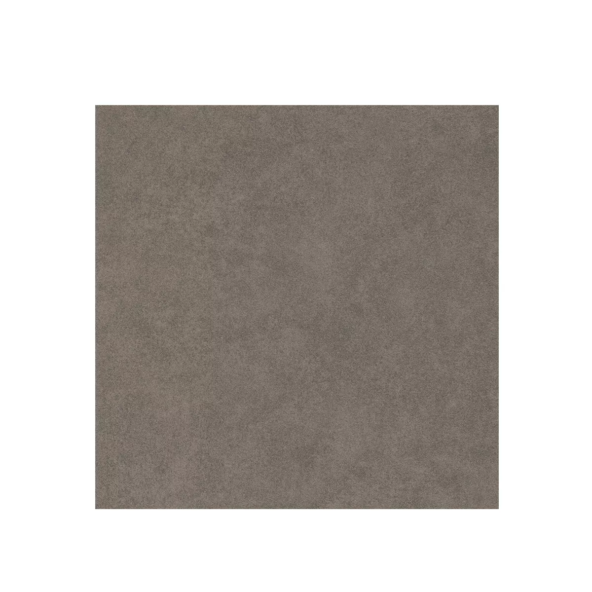 Kolossal Donkergrijs 30x30 cm