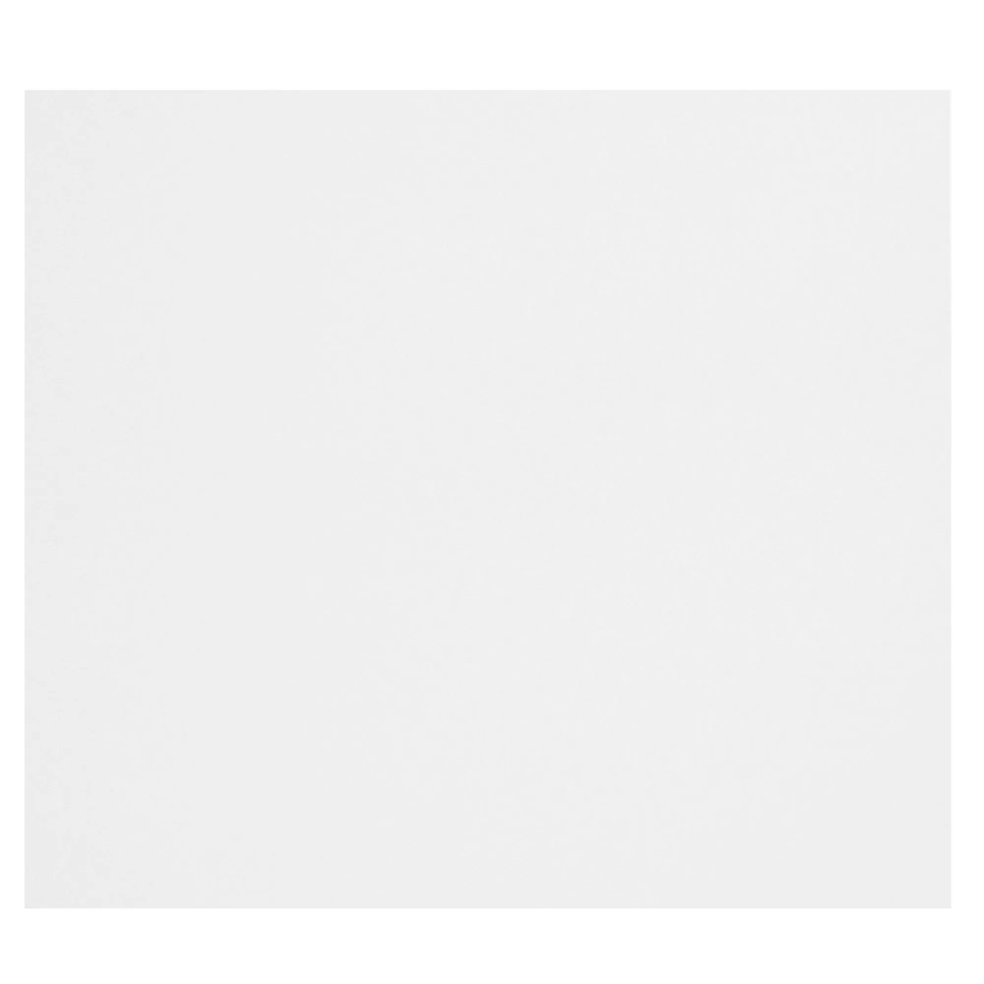 Płytki Ścienne Fenway Biały Matowy 25x50cm
