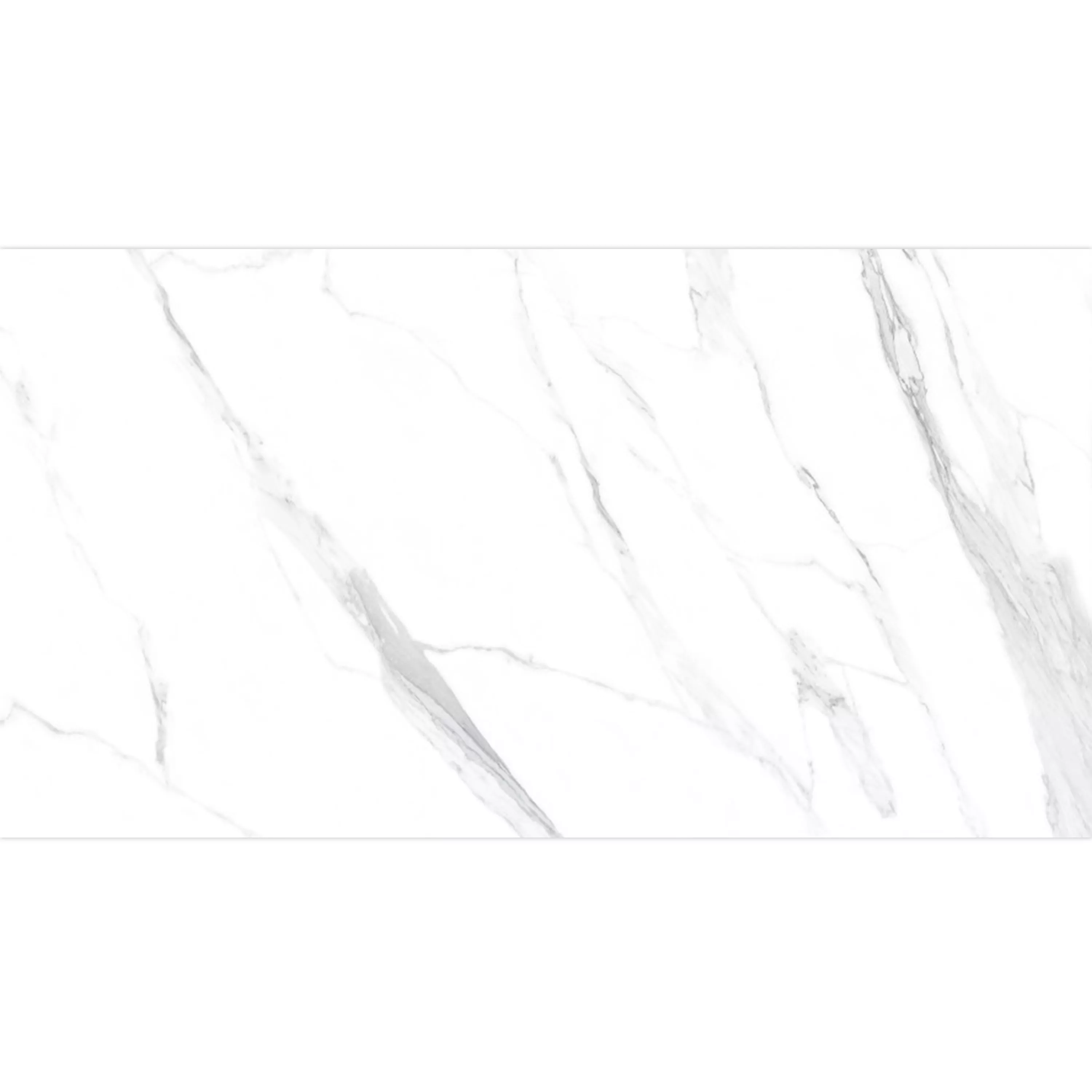 Πρότυπο από Πλακάκια Δαπέδου Louisburg Statuario Ασπρο Παγωμένος Διορθώθηκε 30x60cm