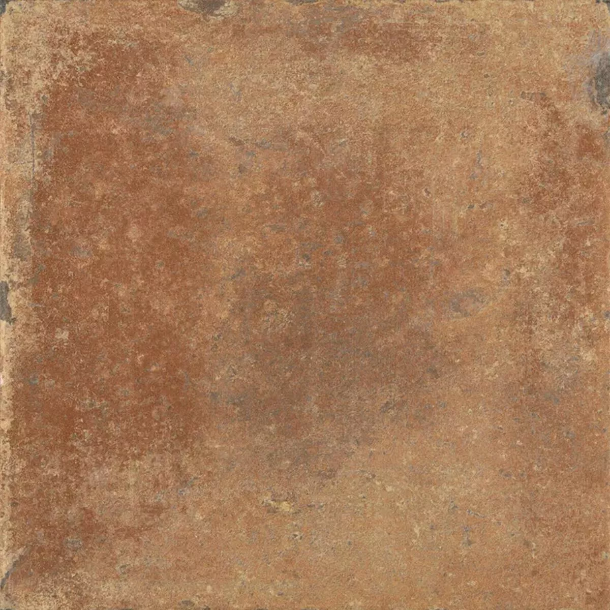 Queens Τερρακότα Σκούρο Kαφέ 25x25 cm